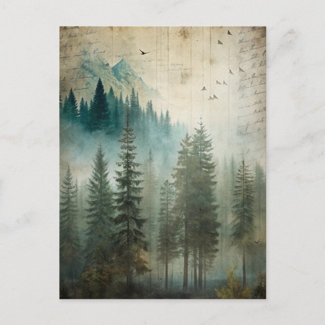 Misty Pine Forest Nature Adventure  Postcard (Front)