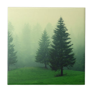 Misty Pine Forest Tile