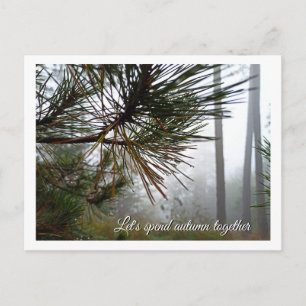 Misty Pine Needles Custom Postcard