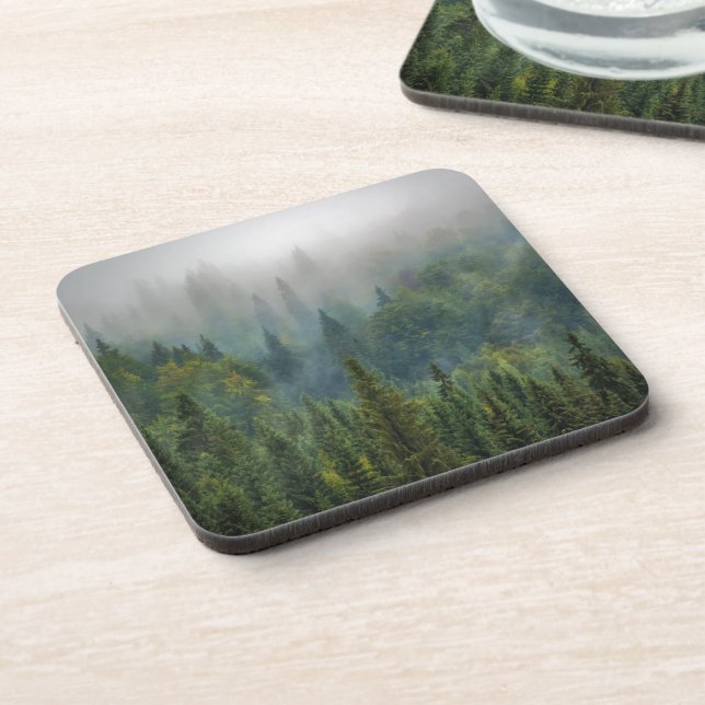 Misty pine trees forest landscape coaster (Left Side)