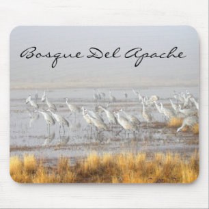 Misty Sandhill Cranes, Bosque del Apache Postcard Mouse Pad