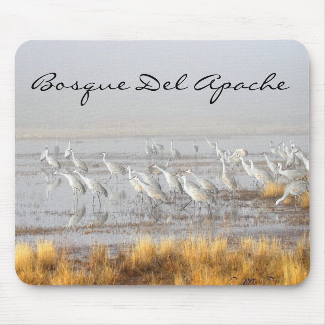 Misty Sandhill Cranes, Bosque del Apache Postcard Mouse Pad (Front)