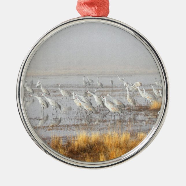 Misty Sandhill Cranes Metal Ornament (Front)