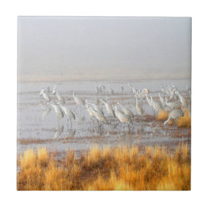 Misty Sandhill Cranes Tile