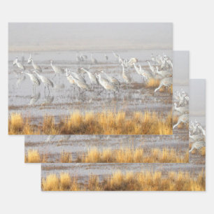 Misty Sandhill Cranes Wrapping Paper Sheet