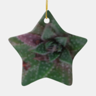 Misty Succulent, Green Purple, Nature, Flora Plant Ceramic Ornament