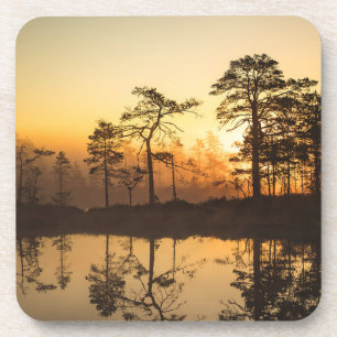 Misty Sunrise in the Forest – Trees Reflected Coaster
