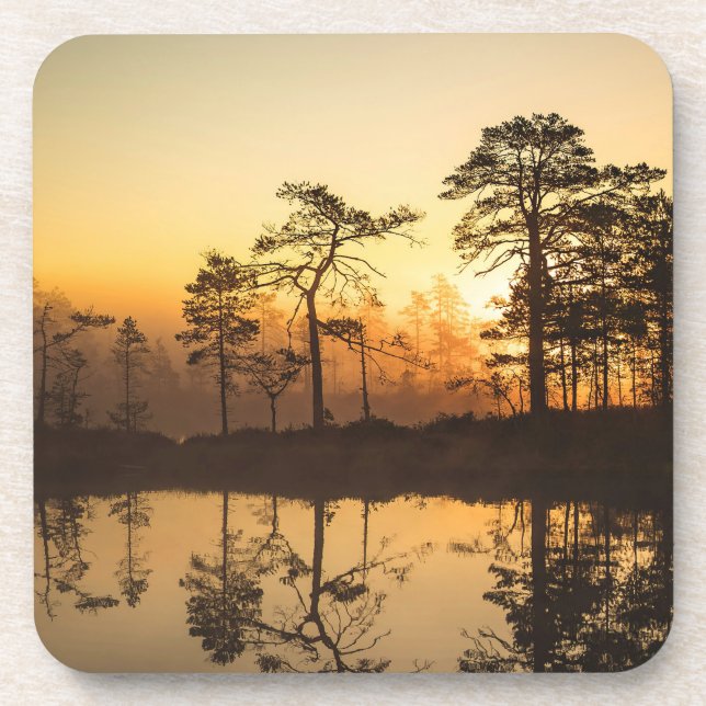 Misty Sunrise in the Forest – Trees Reflected  Coaster (Front)