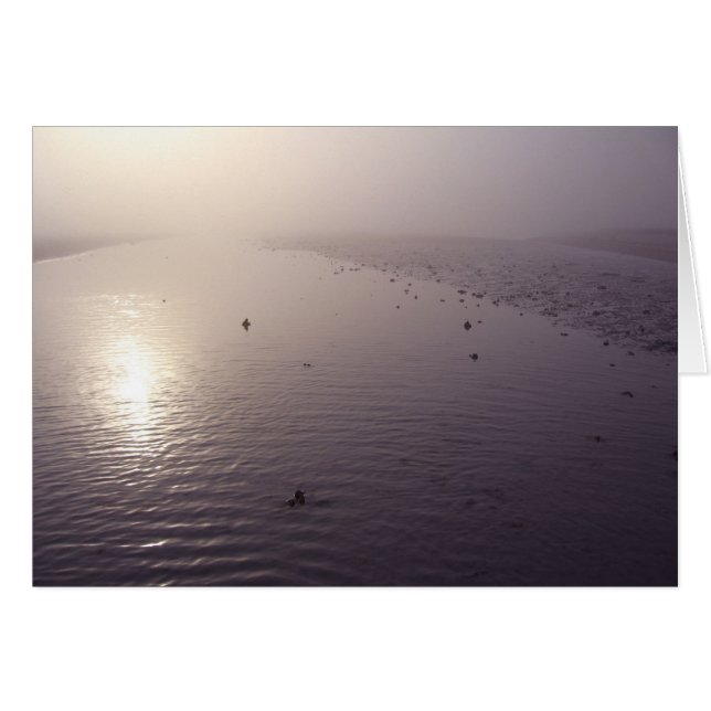 Misty sunset (Front Horizontal)