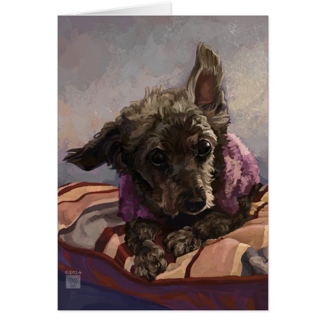 Misty the Poodle (Front)