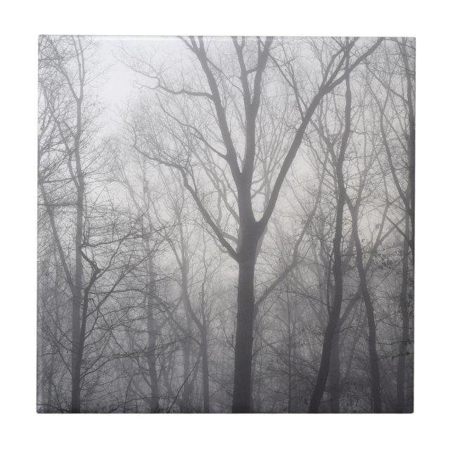 Misty Trees Grey Woodland Tile (Front)