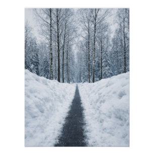 Misty Winter Forest Path Winter Landscape Poster