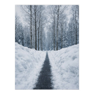 Misty Winter Forest Path Winter Landscape Poster
