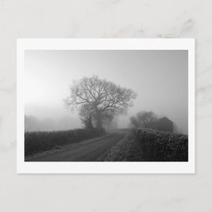 Misty Winter Morning: Cheshire, England Postcard