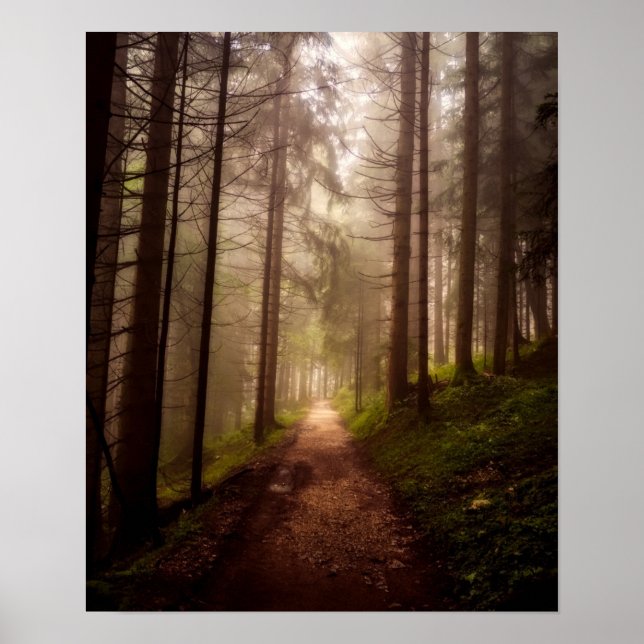 Misty Woodland Path Poster (Front)