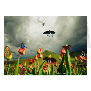 Mites et tulipes