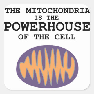 Mitochondria est la Powerhouse - Sticker