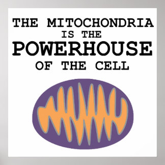 Mitochondria est la puissance - Poster