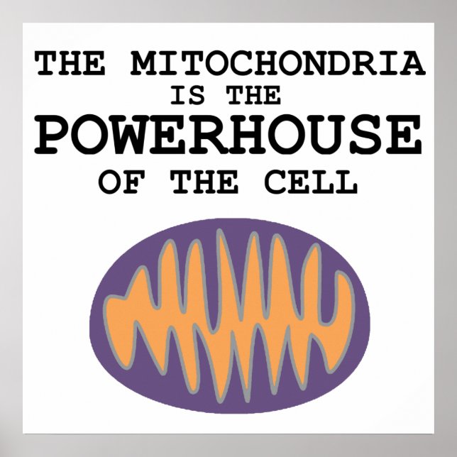 Mitochondria est la puissance - Poster (Devant)