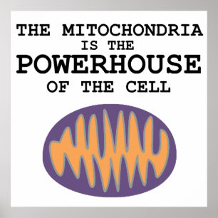 Mitochondria is The Powerhouse - Poster