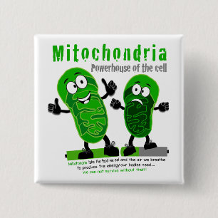 Mitochondria Powerhouse of the Cell 2 Inch Square Button