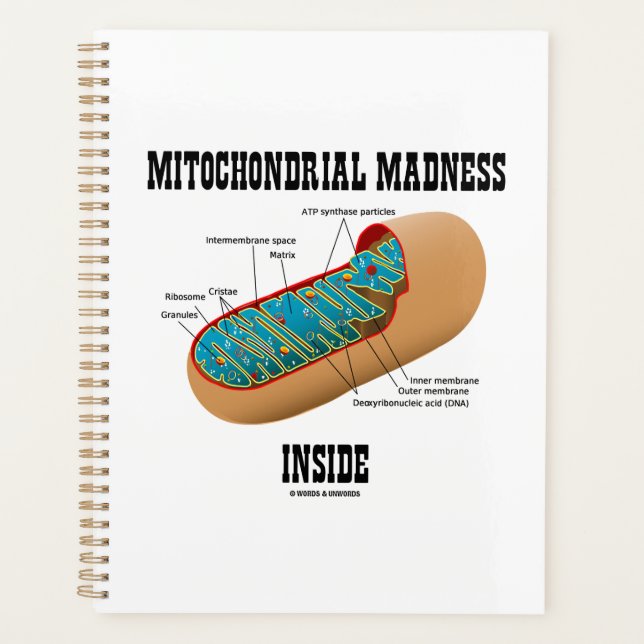 Mitochondrial Madness Inside Mitochondrion Biology Planner (Front)