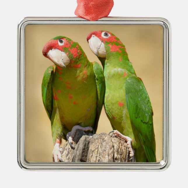 Mitred Parakeet on wood post Postcard Square Stick Metal Ornament (Front)