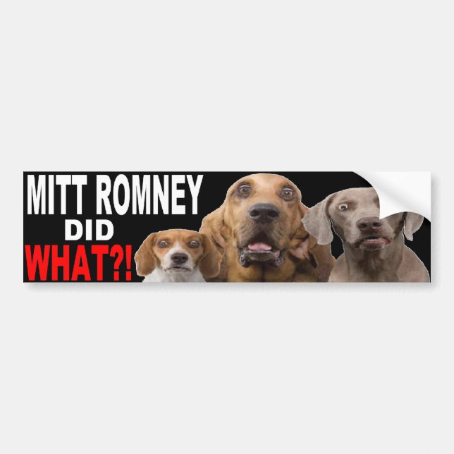 MITT ROMNEY DID WHAT?! Dog On Roof BUMPER STICKER (Front)