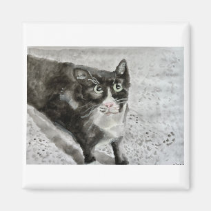 Mitten the kitten on magnet
