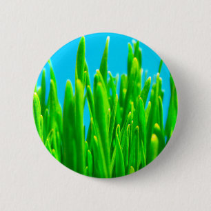 MITTENS - GRASS 2 INCH ROUND BUTTON