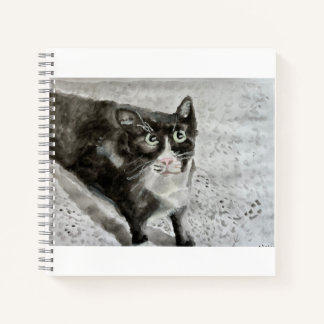 Mittens le chaton sur un journal