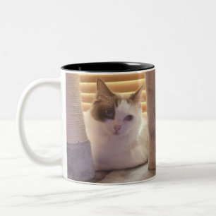 Mitzy and Cleo Two-Tone Coffee Mug