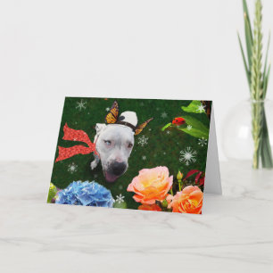 Mitzy the Mariposa, Holiday Greeting Card