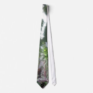 Miur Woods Tie