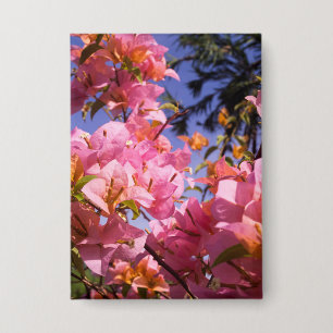 Mix Pink and Orange Bougainvillea Flowers