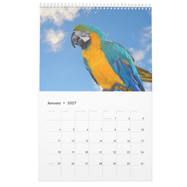 Mixed Animals and birds Calendar (Jan 2027)