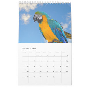 Mixed Animals and birds Calendar