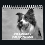 Mixed Breed Black and White Dog  Calendar<br><div class="desc">Brighten a dog lover's year with this beautiful Mixed Breed Black and White Dog Calendar featuring gorgeous photos of dogs of various breeds with their lovely expressive faces. Available in three sizes with changeable UK to US events. © Dafydd's Designs.</div>
