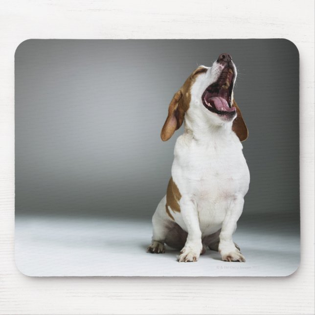 Mixed breed dog yawning, close-up mouse pad (Front)