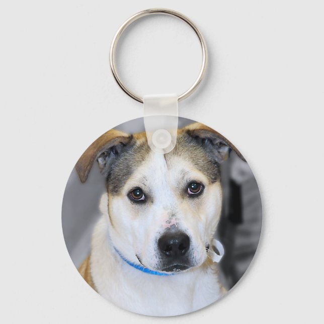 Mixed-Breed Pitbull/Yellow Labrador Keychain (Front)