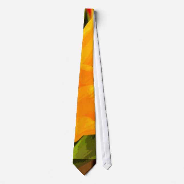 Mixed colours tie (Front)