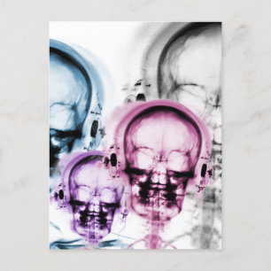 Mixed Colours X-Ray Vision Music Skeleton Skull Postcard