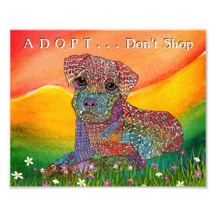Mixed Dog Breed Adopt Don't Photo Print