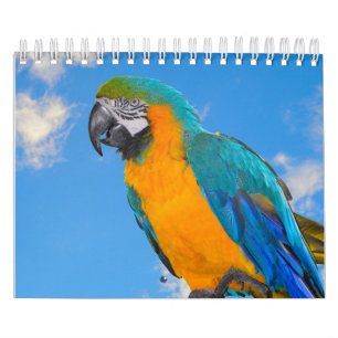Mixed Parrots Calendar