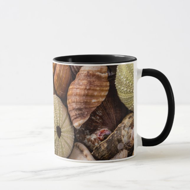 Mixed Sea Shells Mug (Right)