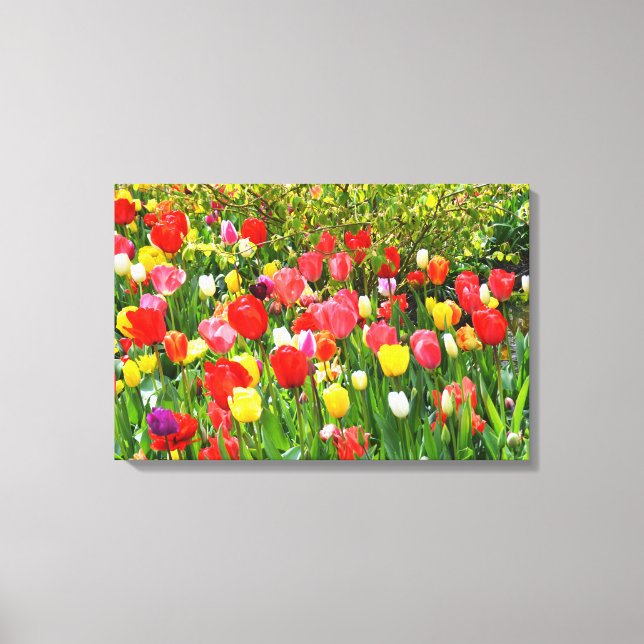 Mixed tulips floral canvas print (Front)