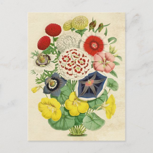 Mixed Vintage floral cute postcard (Front)