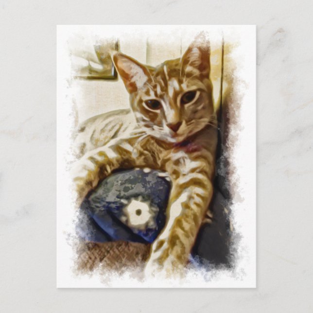 Miyu Cat Art Postcard (Front)