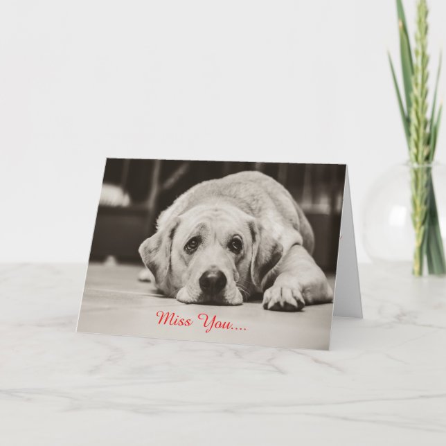 Mlle de chien de Labrador vous carte de voeux (Devant)