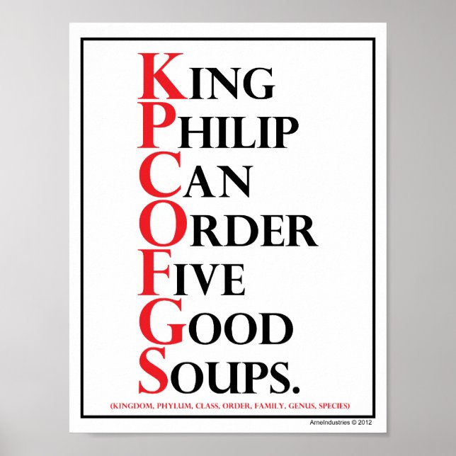 Mnemonic: King Philip = Species Identification Poster (Front)